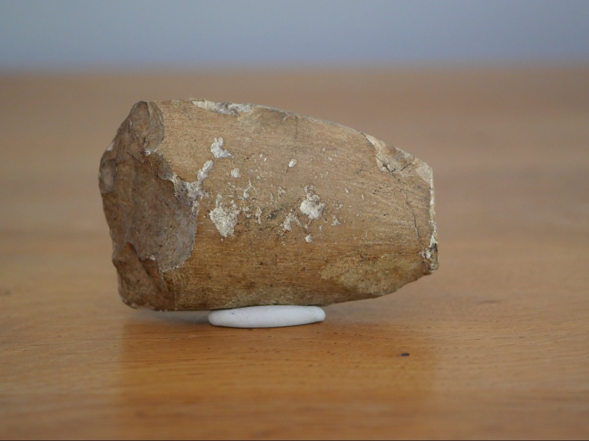 Fragment de hache polie néolithique – Velaine près de Namur – ancienne collection XIXe siècle -photo-3