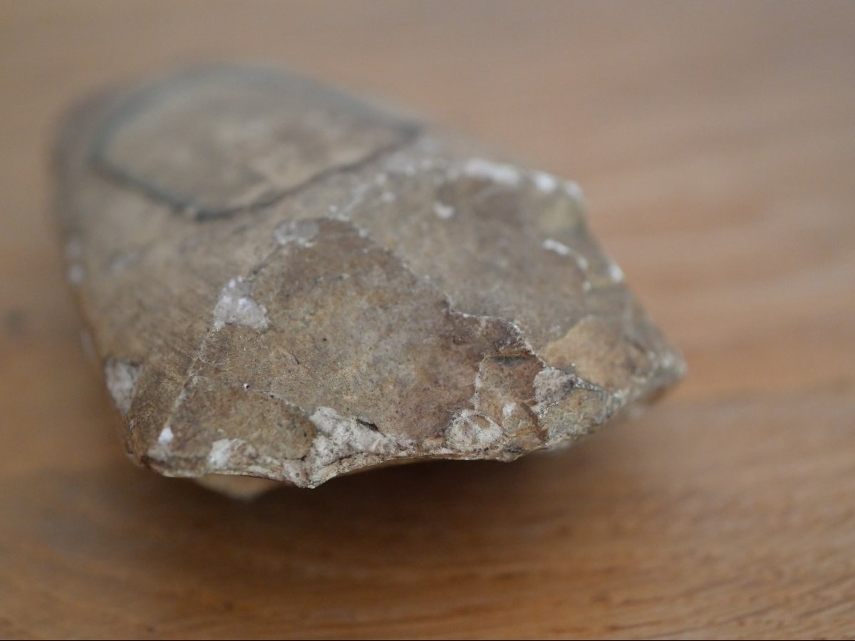 Fragment de hache polie néolithique – Velaine près de Namur – ancienne collection XIXe siècle -photo-4