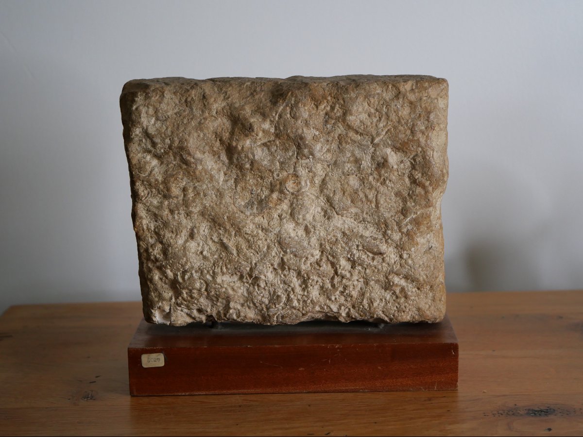South Arabian Funerary Stele – Arabian Peninsula, Pre-islamic Yemen, 1st–3rd Centuries-photo-3