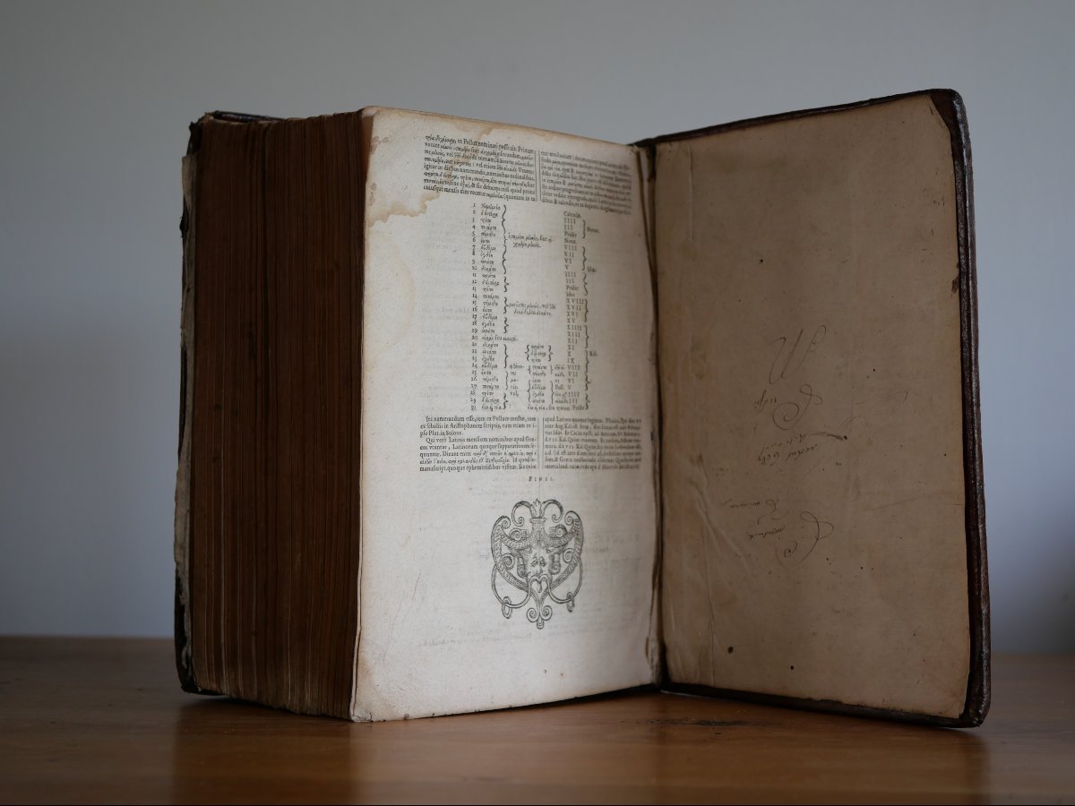 Dictionnaire grec latin -Lexicon Graecolatinum- XVIe siècle, édition de 1583, Joannes Scapula-photo-4