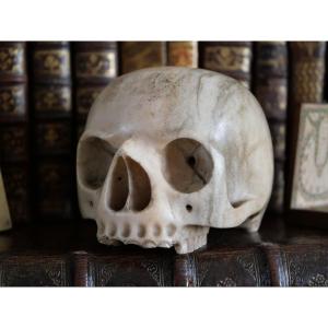 Vanité - Memento Mori – Crâne en marbre de Carrare, Italie XVIIIe siècle