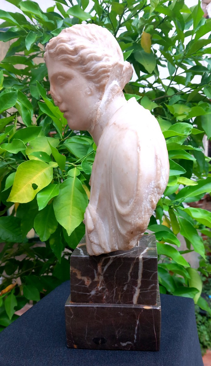 Bust Of A Woman In Antique Style Marble 18th Century Italian School Grand Tour -photo-2