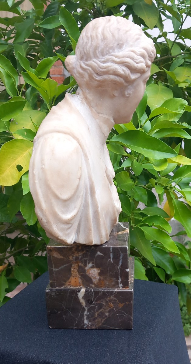 Bust Of A Woman In Antique Style Marble 18th Century Italian School Grand Tour -photo-4