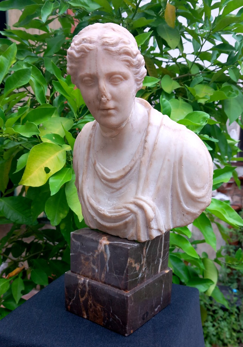 Bust Of A Woman In Antique Style Marble 18th Century Italian School Grand Tour -photo-1
