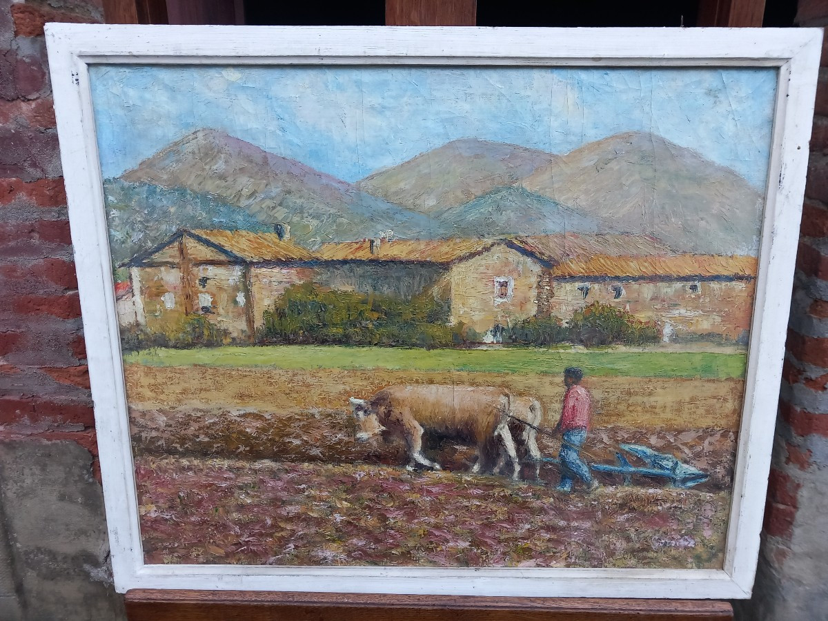 "Labours en Provence" Huile sur Toile Marouflée sur Carton XXe 