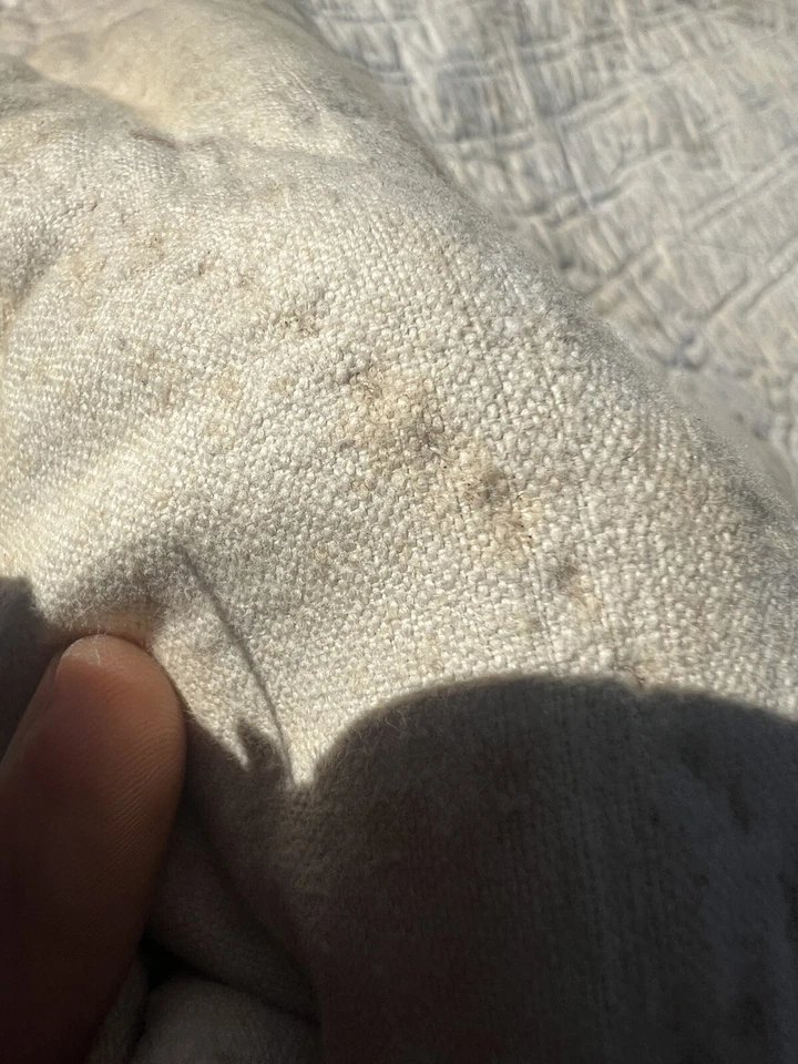 Boutis En Toile de Jouy Imprimée XIXe Siècle Motif "Le Solitaire" Couleur Café -photo-4