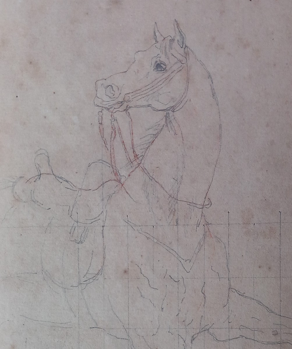 Equestrian Academy 19th Century Drawing: Horse At A School Walk Or Parade-photo-2