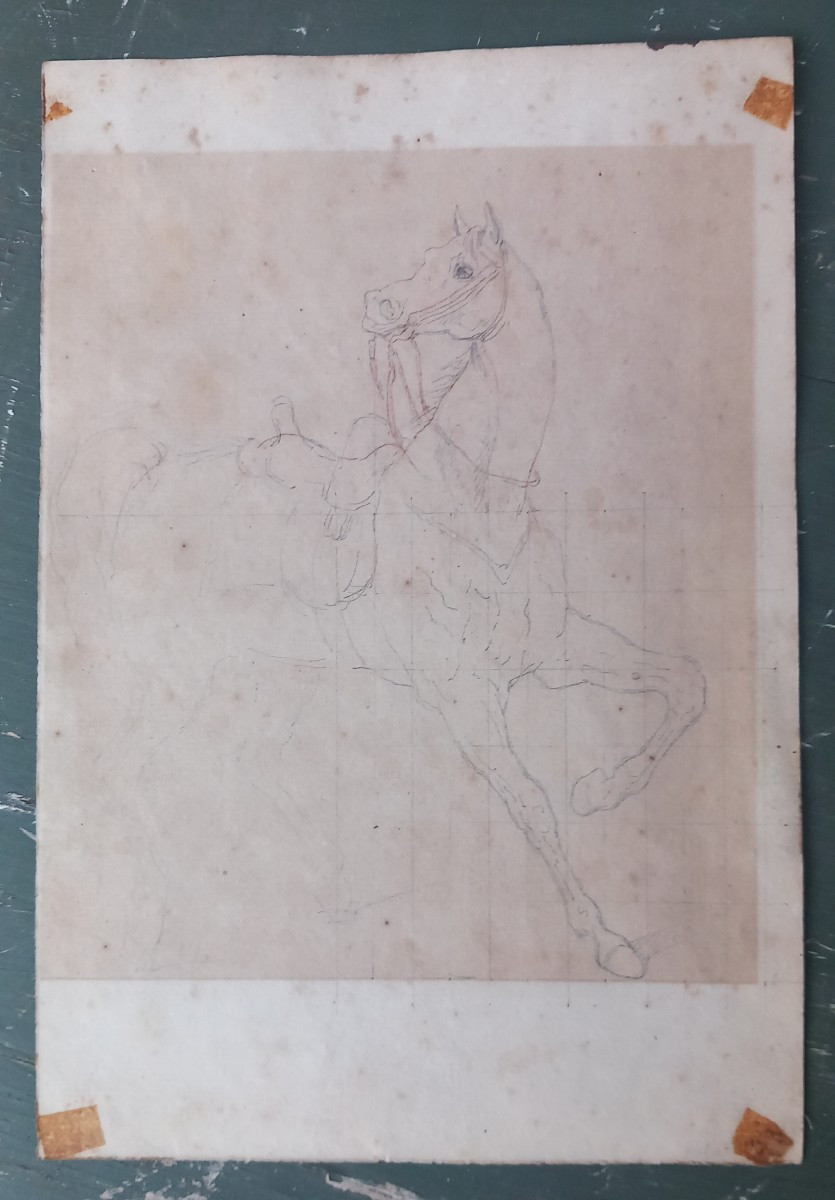 Equestrian Academy 19th Century Drawing: Horse At A School Walk Or Parade-photo-3