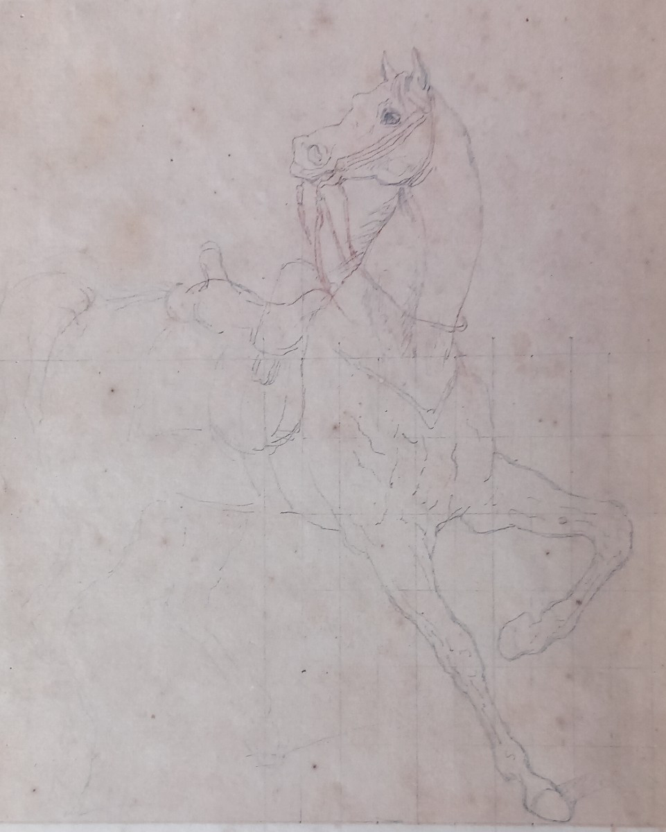 Equestrian Academy 19th Century Drawing: Horse At A School Walk Or Parade