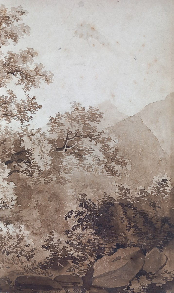 Etude d'arbre et Nature Dessin Pré Romantique XVIIIe  Encre et Lavis sur Papier-photo-4