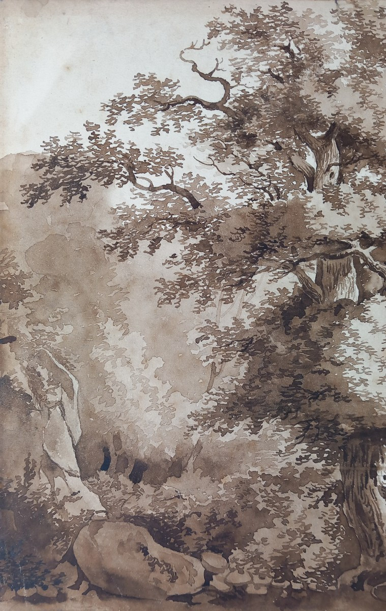 Etude d'arbre et Nature Dessin Pré Romantique XVIIIe  Encre et Lavis sur Papier-photo-1