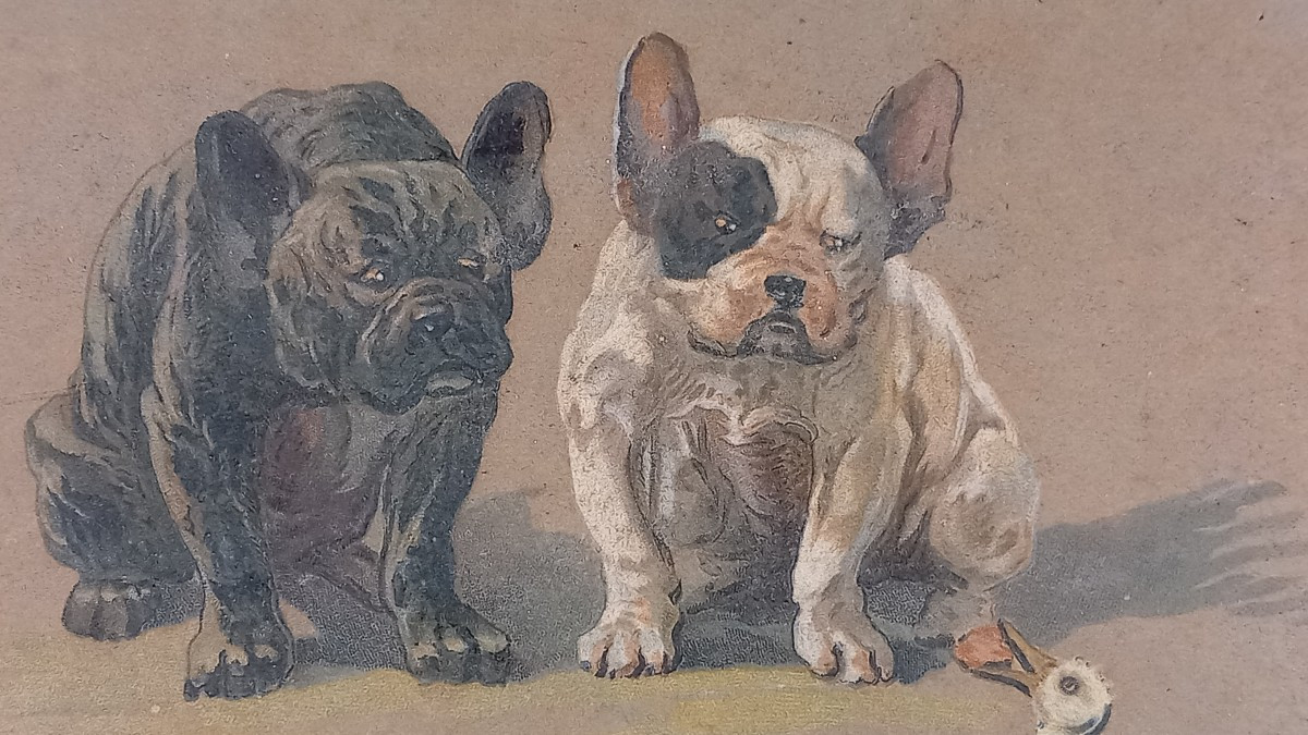 Emmanuel Samson (1860-1926) "the Glutton" Duckling And French Bulldog 19th Century Drawing-photo-3