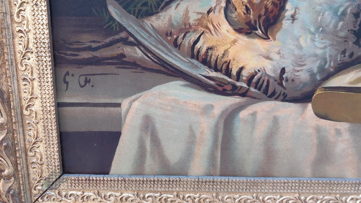 Suite Of Five Still-lifes In Chromolithographs Framed 19th Century Game Fish Crustaceans-photo-4