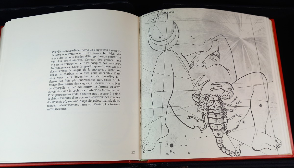 Pierre-yves Tremois Le Livre d'Eros - 1970 Artist's Book Numbered Copy In Box-photo-1