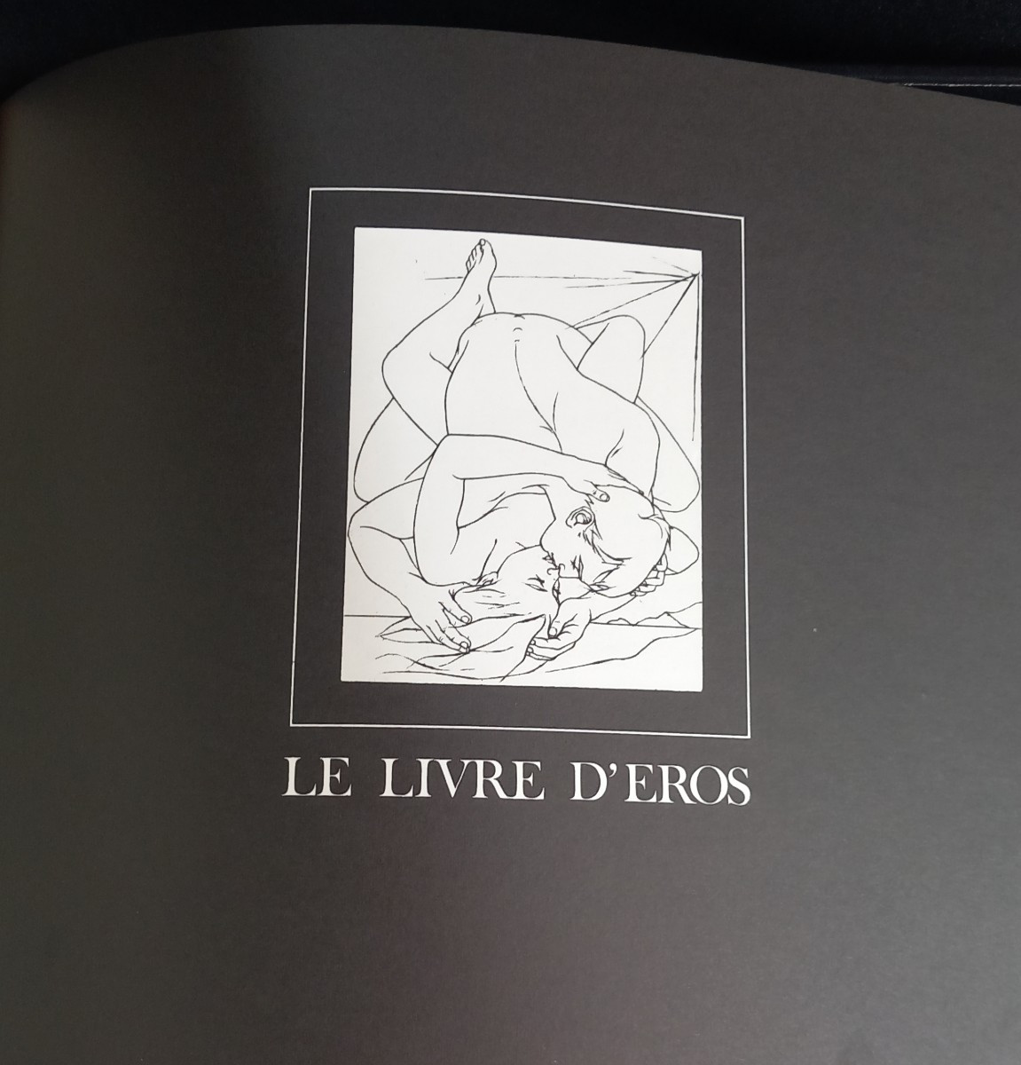 Pierre-yves Tremois Le Livre d'Eros - 1970 Artist's Book Numbered Copy In Box-photo-2