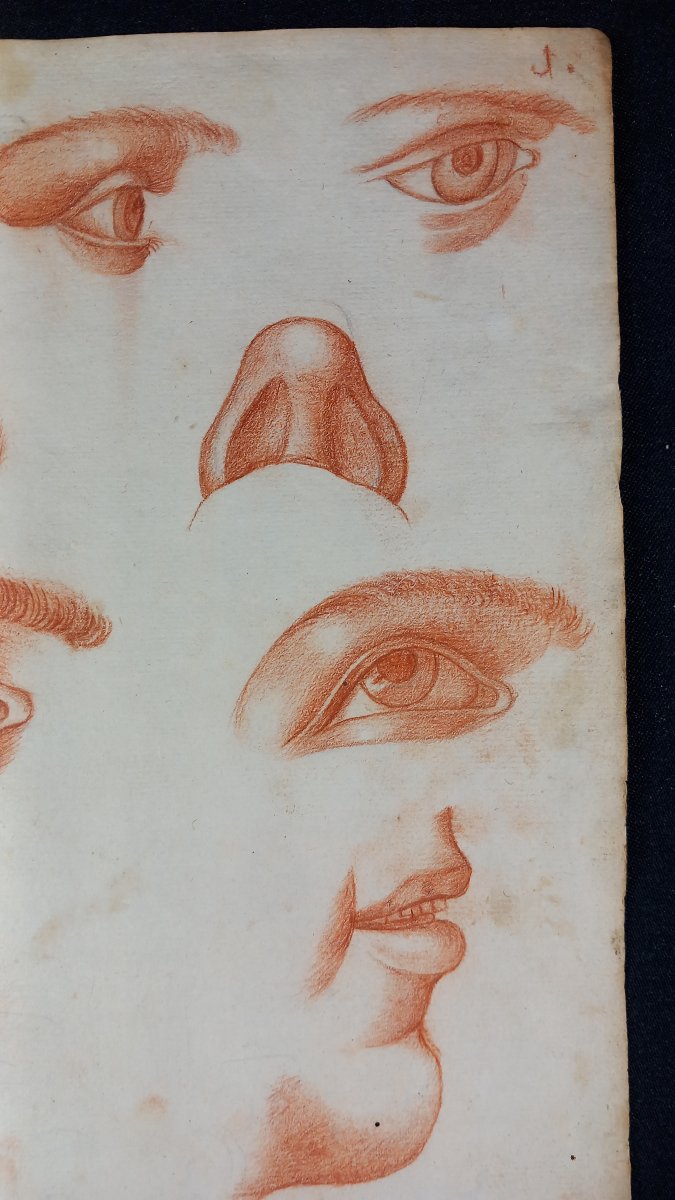 Anatomy Study: 18th-century Redchalk Drawing Academy—eye, Mouth, Nose -photo-3