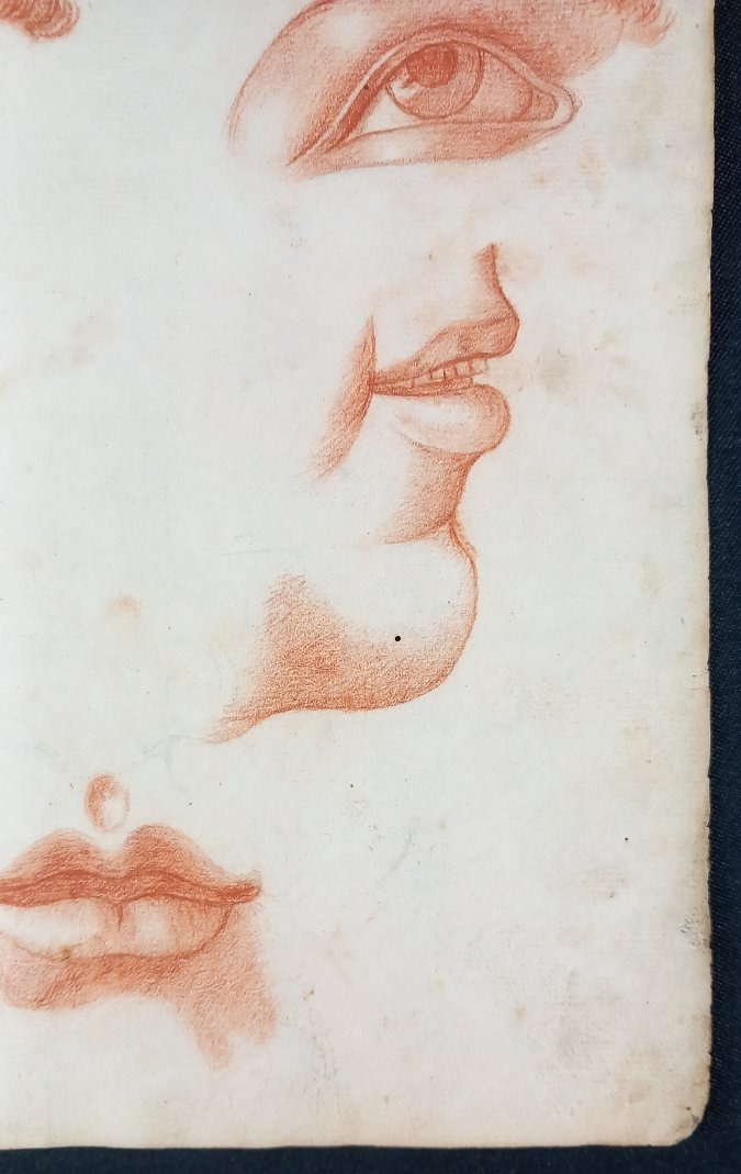 Anatomy Study: 18th-century Redchalk Drawing Academy—eye, Mouth, Nose -photo-4