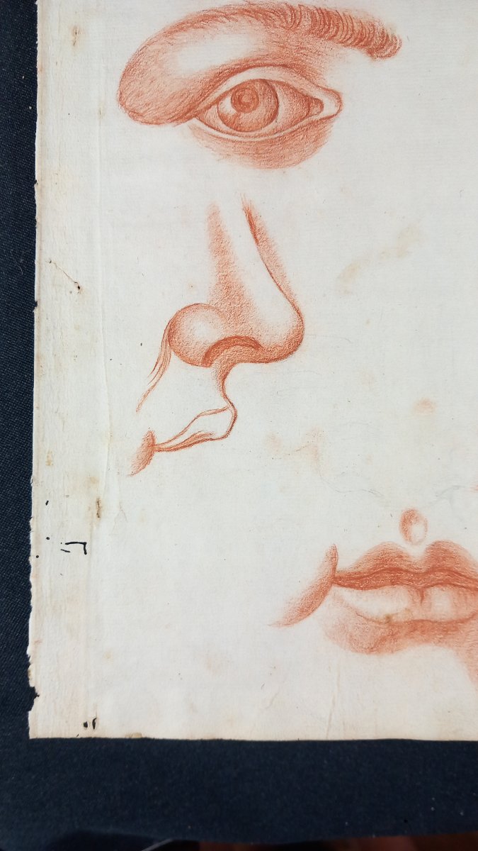 Anatomy Study: 18th-century Redchalk Drawing Academy—eye, Mouth, Nose -photo-1