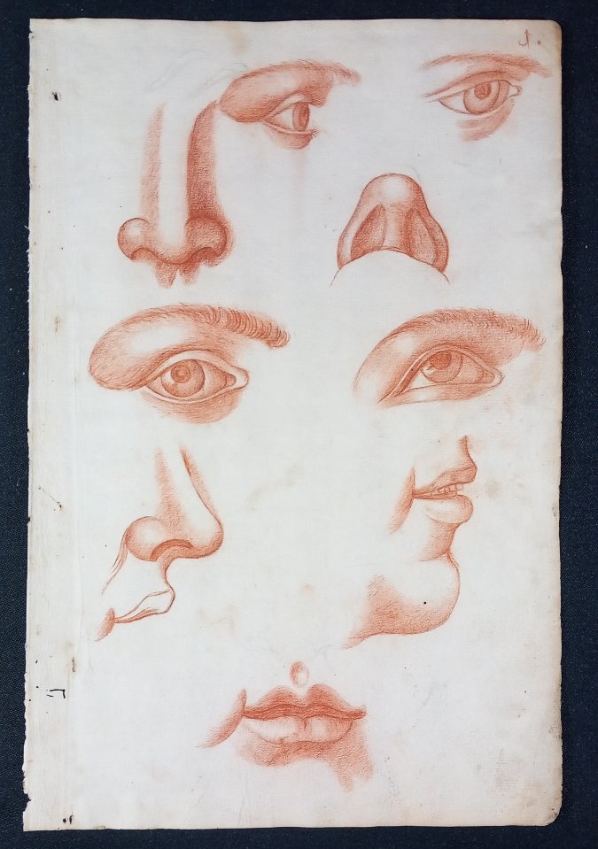 Anatomy Study: 18th-century Redchalk Drawing Academy—eye, Mouth, Nose 