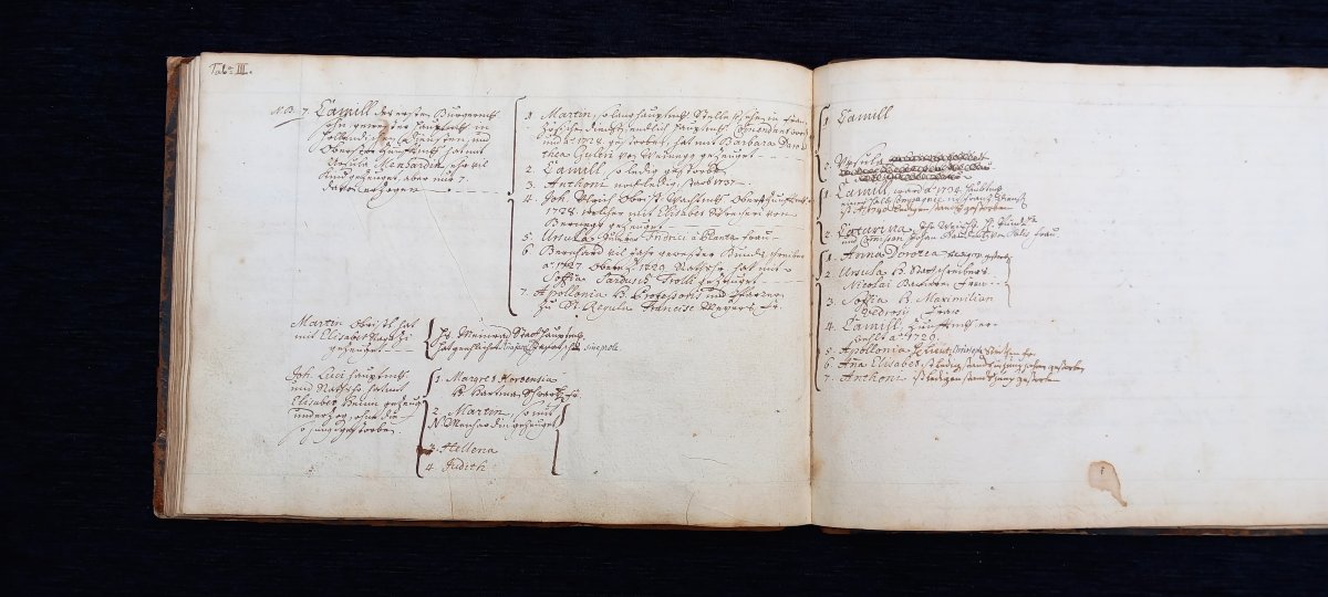 Manuscrit Histoire de la Noblesse de la Famille Von Cléric Suisse Coire (Grisons) Héraldique-photo-3