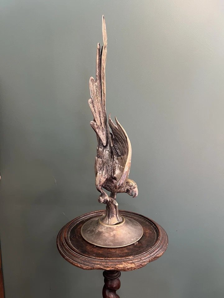 19th-century Silver-plated Bronze Parrot—decorative Figurine-photo-4