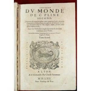 Pline Histoire Du Monde A Lyon, &agrave; La Salemandre Par Claude Senneton 1566 XVIe In-folio 