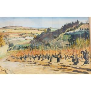 Marcel Delaris 1911-1995 Paysage Vignes Provençales Technique Mixte sur Papier
