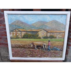 "Labours en Provence" Huile sur Toile Marouflée sur Carton XXe 