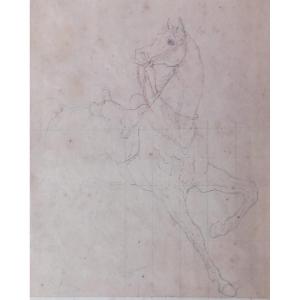 Equestrian Academy 19th Century Drawing: Horse At A School Walk Or Parade