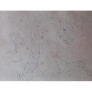 Equestrian Academy 19th Century Drawing: Horse At A School Walk Or Parade