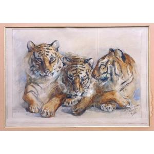 Georges Pavec, “tigeress From François Bidel’s Menagerie,” Watercolor, 1894