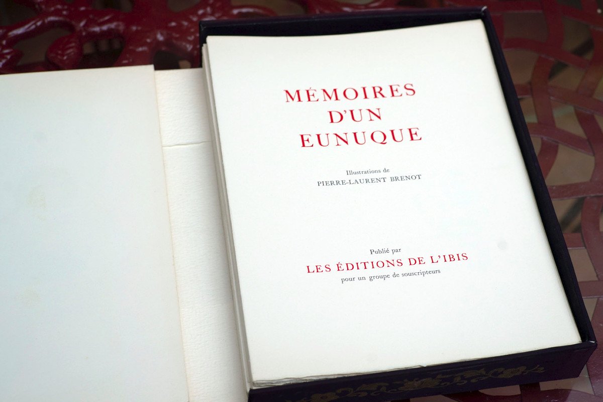 Memoir Of An Ennuque-photo-4