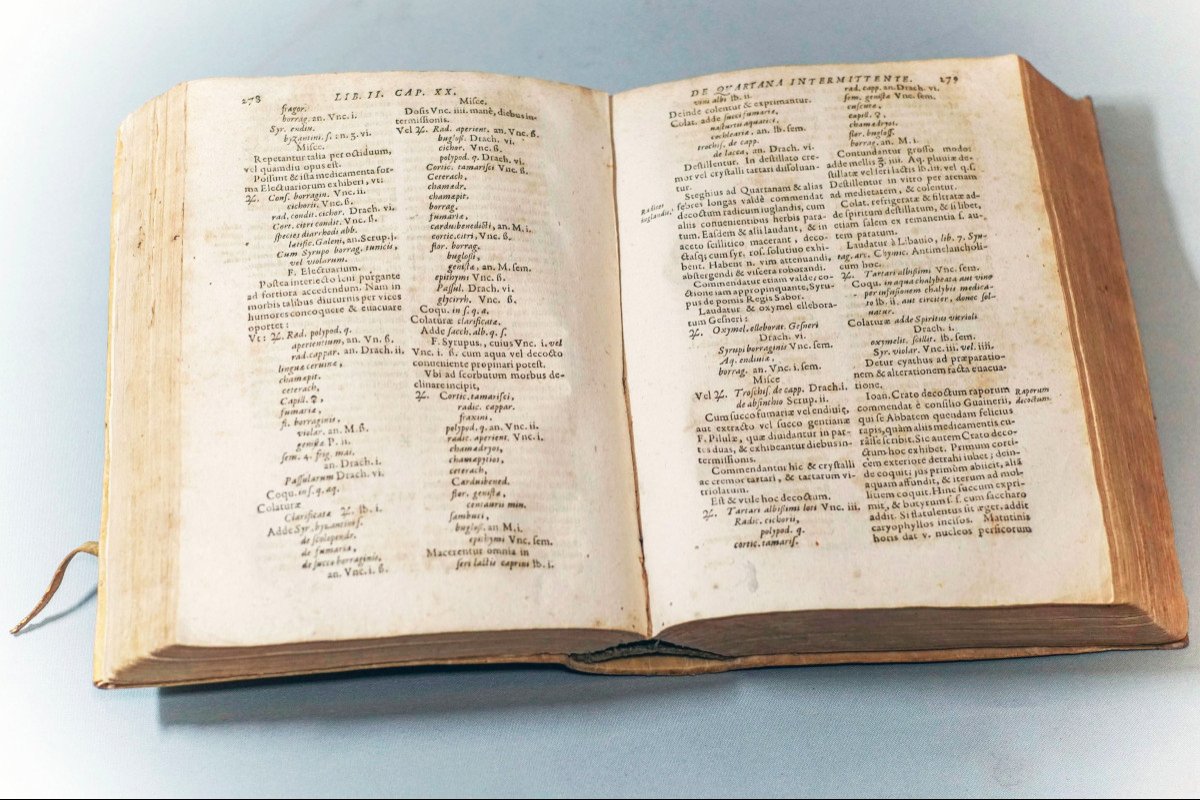 From Febribus Libri Iv. Author Daniele Sennerto - Daniel Sennert - Ed 1633-photo-1