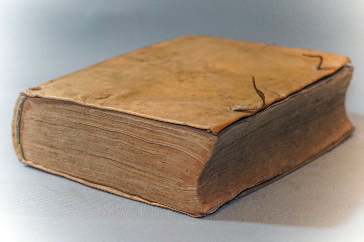 From Febribus Libri Iv. Author Daniele Sennerto - Daniel Sennert - Ed 1633-photo-3