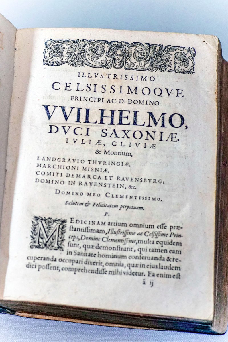 De FEBRIBUS Libri IV. Auctore DANIELE SENNERTO - Daniel Sennert - Édition 1633-photo-6