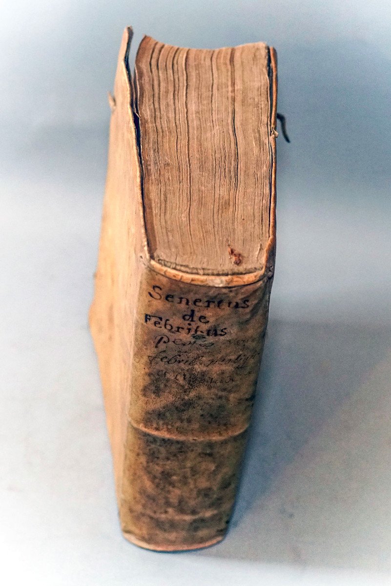 From Febribus Libri Iv. Author Daniele Sennerto - Daniel Sennert - Ed 1633-photo-8