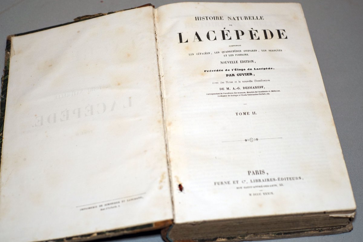 Natural History Of Lacépède, Volume Ii.-photo-5