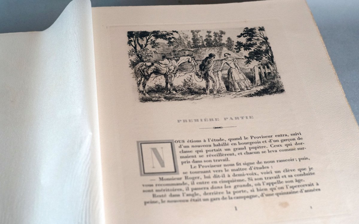 Gustave Flaubert Madame Bovary, Provincial Manners. Box Set-photo-2