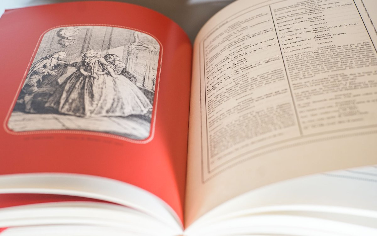 THÉATRE 9 volumes luxe : BEAUMARCHAIS,  CORNEILLE, MOLIÉRE, RABELAIS, RACINE-photo-3