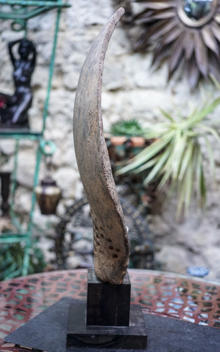 TÊTE AKAN, terre cuite sur socle, peuple Kwahu, Ghana-photo-3
