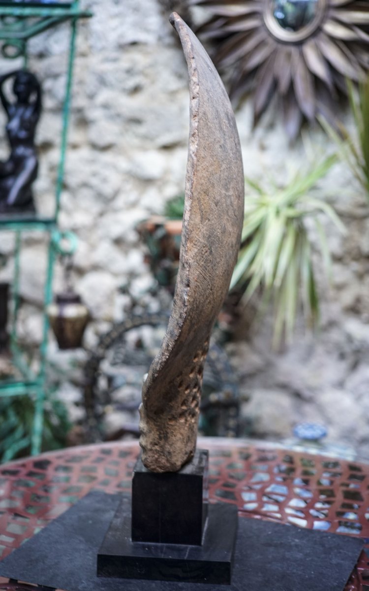 TÊTE AKAN, terre cuite sur socle, peuple Kwahu, Ghana-photo-4