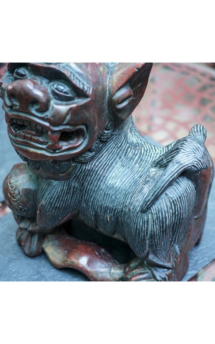 Chiens de Fô bois-photo-1