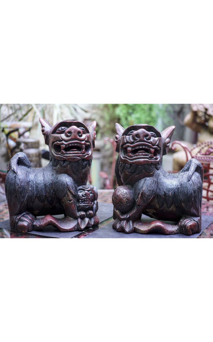 Chiens de Fô bois