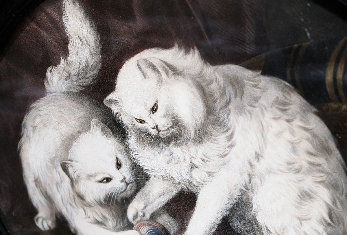 Kittens Playing, Pair Of Chromos N III-photo-3