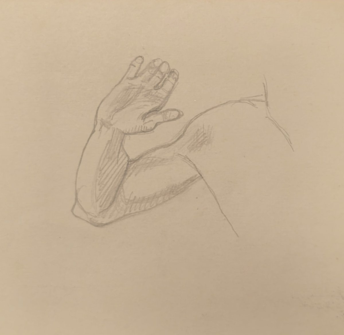 Etude Académie Masculine Original Drawing By Félix Vallotton