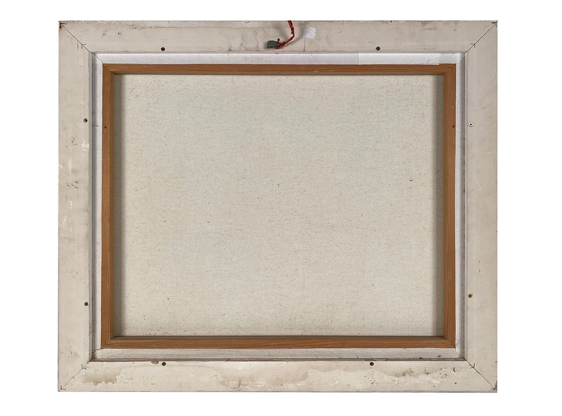 Acrylique sur toile, « Toucans ». XXe-photo-5