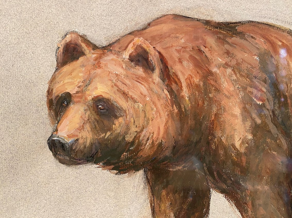 "brown Bear", Gouache On Paper Framed Under Glass, Signed Dongé-photo-3