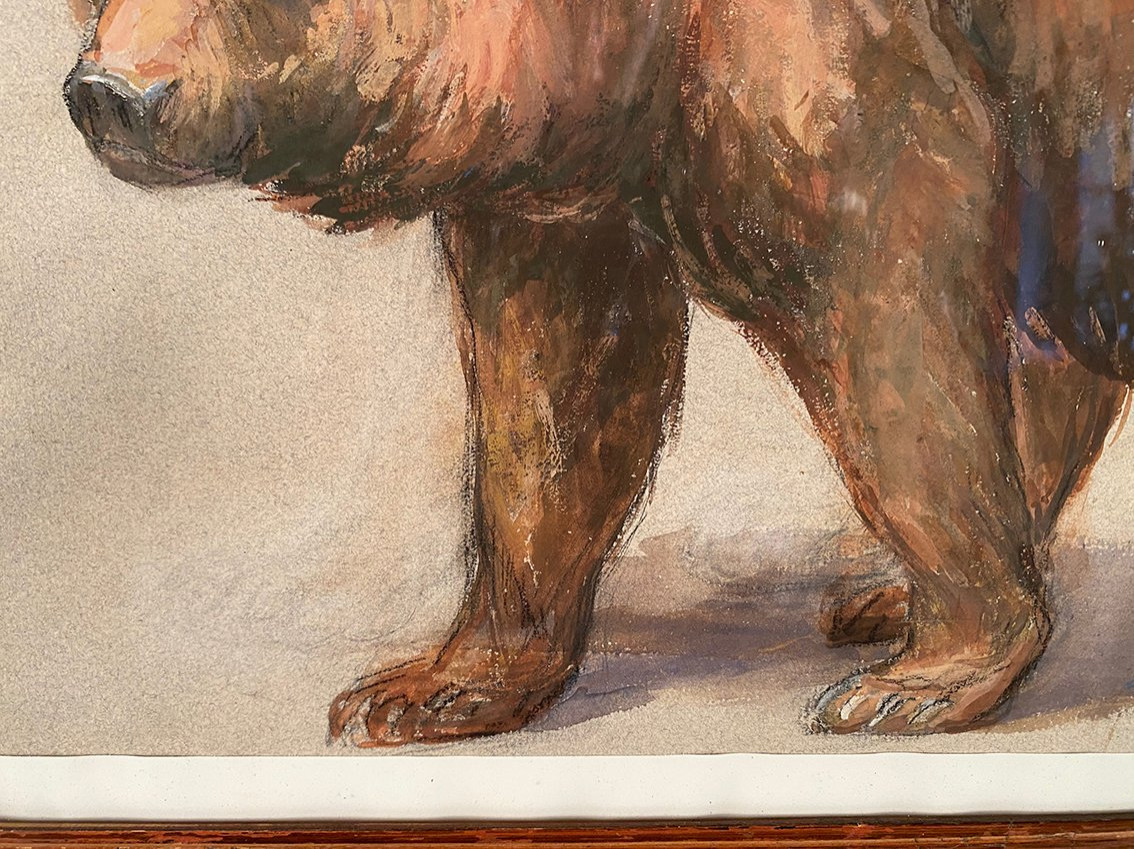 "brown Bear", Gouache On Paper Framed Under Glass, Signed Dongé-photo-4