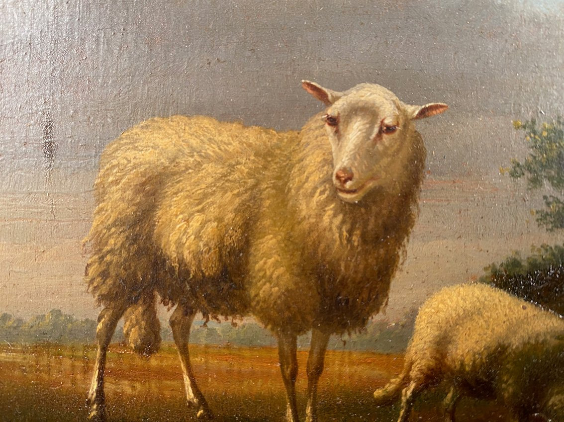 Arthur De Waerhert (1881-1944). "sheep", Pair Of Oil Paintings On Panel-photo-3