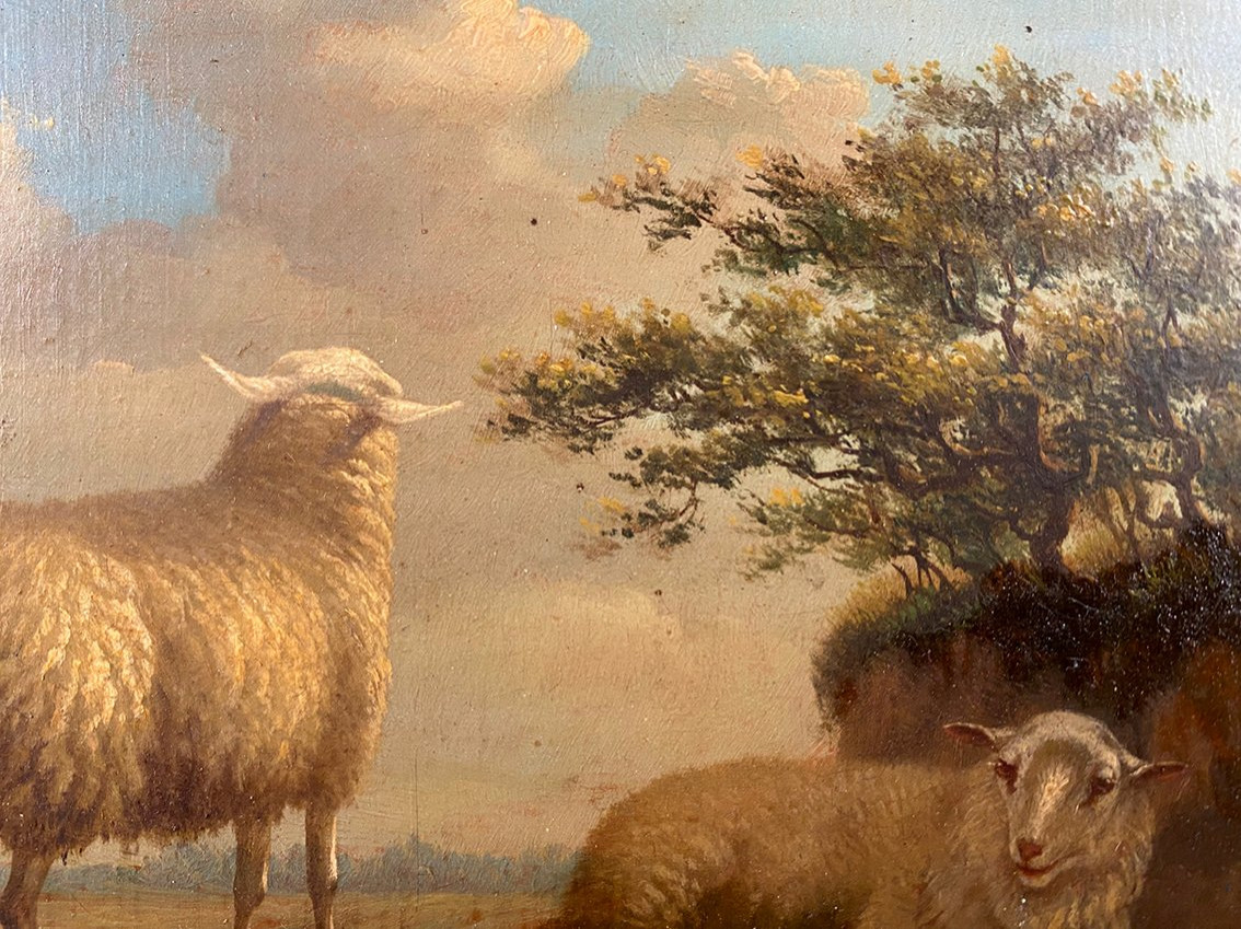 Arthur De Waerhert (1881-1944). "sheep", Pair Of Oil Paintings On Panel-photo-4